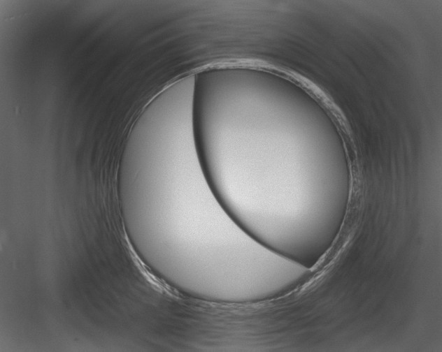 X0000084520905200702230834