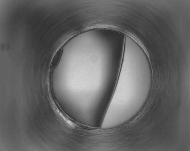 X0000084520906200702230834