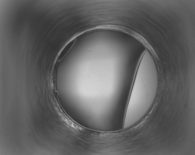 X0000084520908200702230834