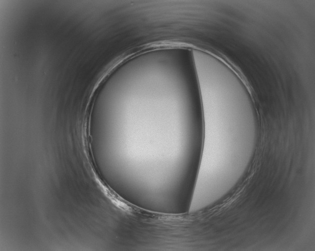 X0000084520909200702230834
