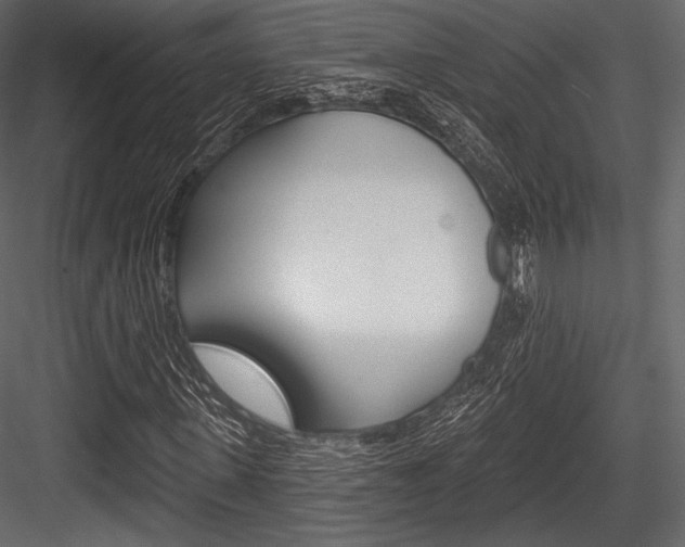 X0000084520915200702230834