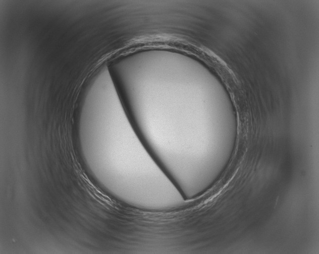 X0000084520921200702230834