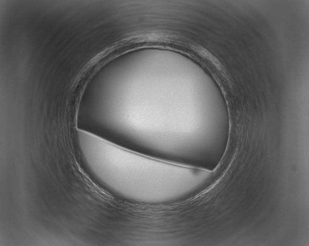 X0000084520922200702230834