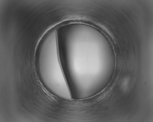 X0000084520927200702230834