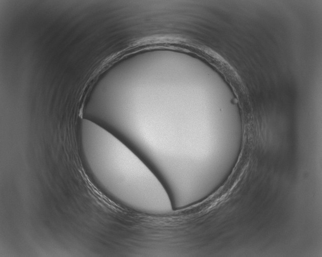 X0000084520929200702230834