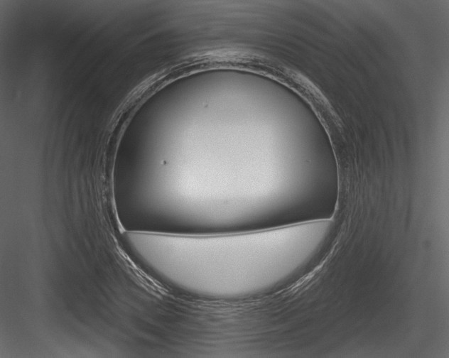 X0000084520930200702230834