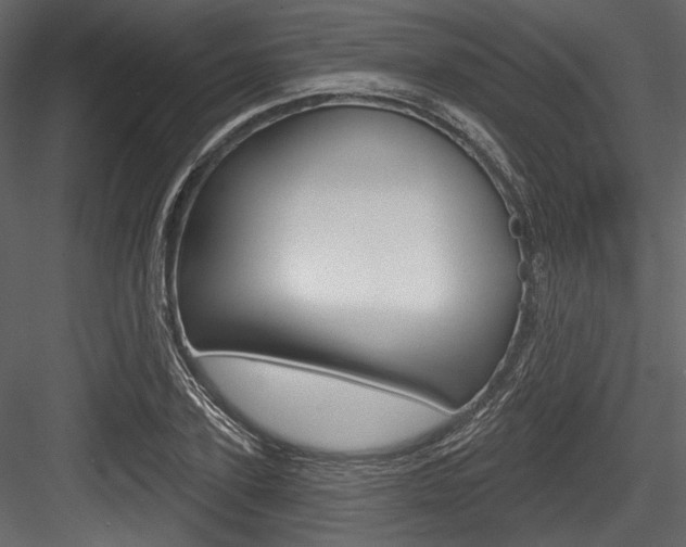X0000084520931200702230834