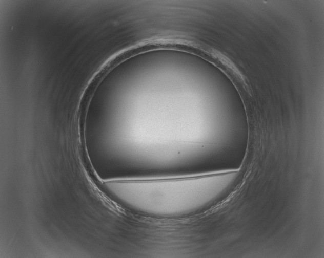 X0000084520934200702230834