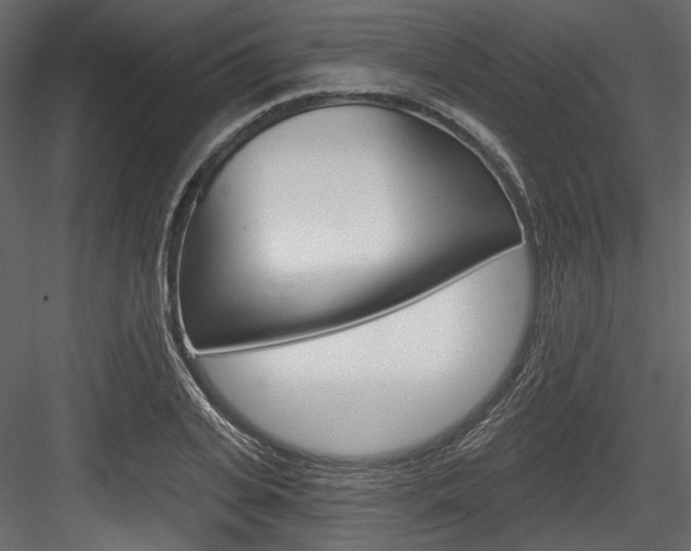 X0000084520935200702230834