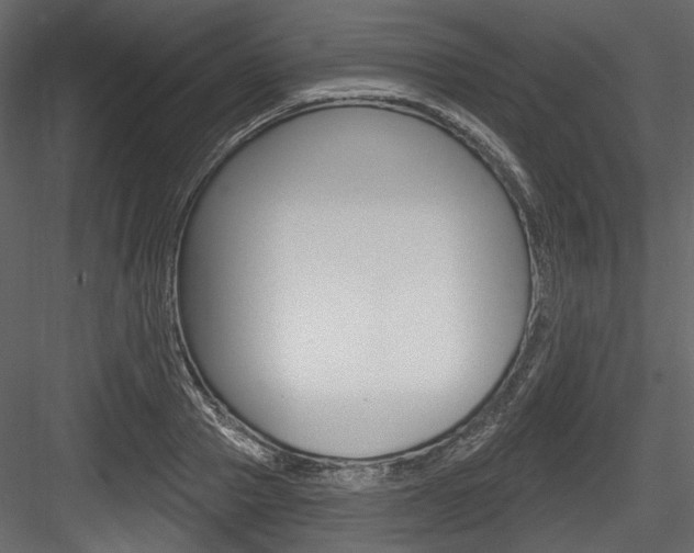 X0000084520937200702230834