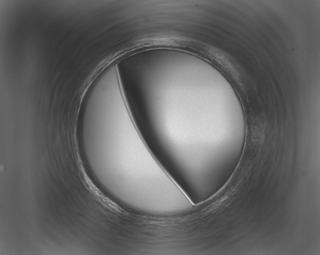 X0000084520938200702230834