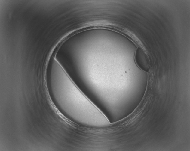 X0000084520939200702230834