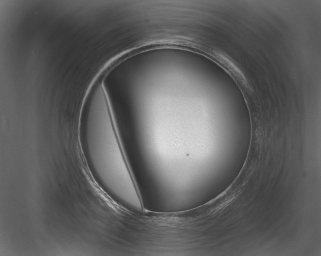 X0000084520940200702230834