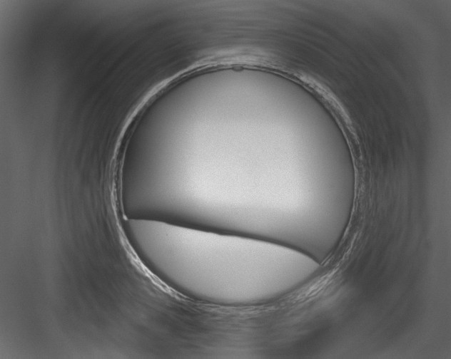 X0000084520941200702230834