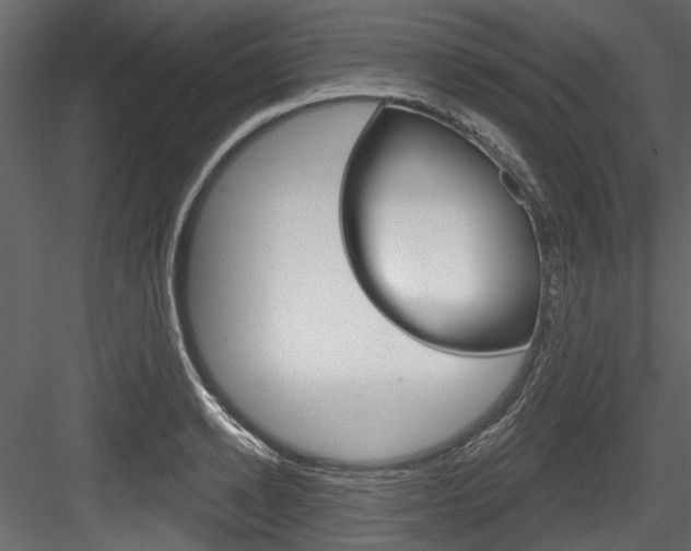 X0000084520942200702230834