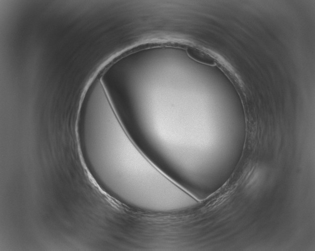 X0000084520943200702230834