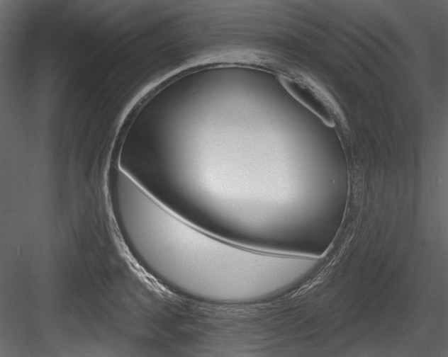 X0000084520944200702230834