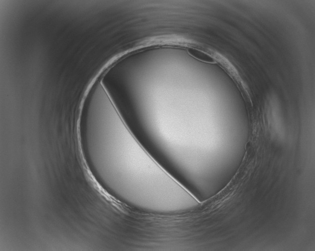 X0000084520947200702230834