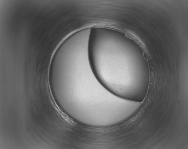 X0000084520948200702230834