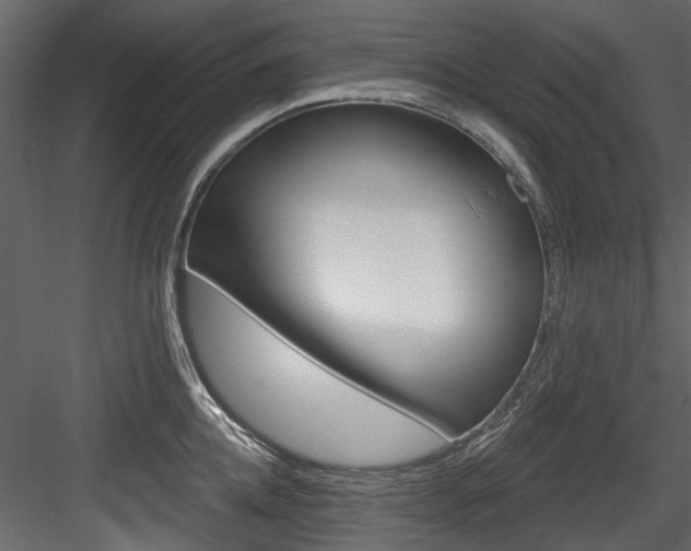 X0000084520952200702230834