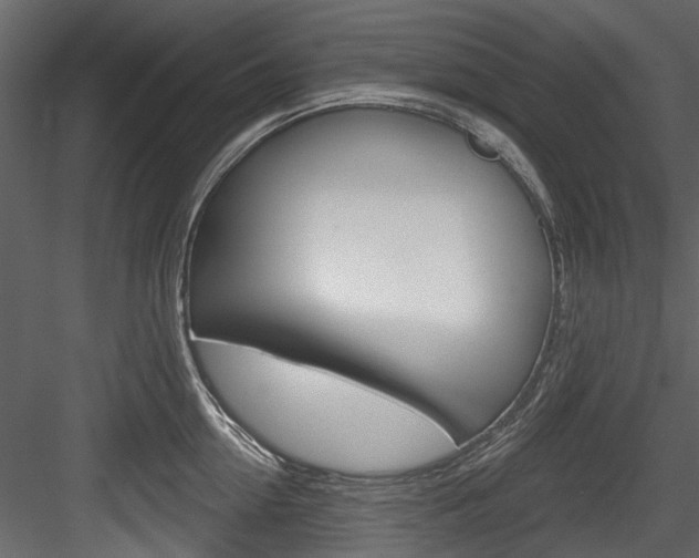 X0000084520954200702230834