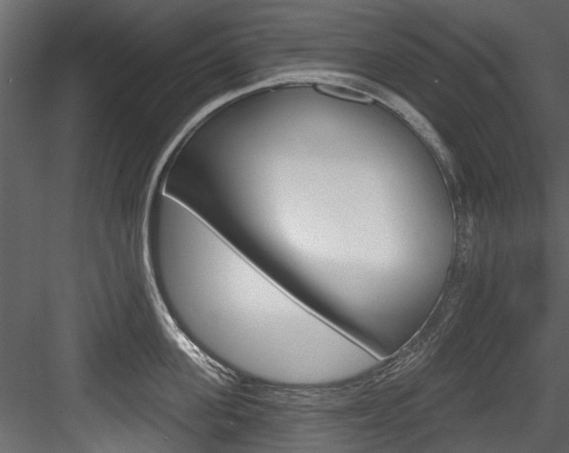 X0000084520955200702230834