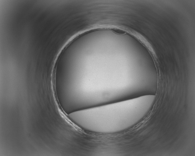 X0000084520958200702230834