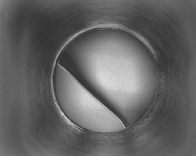 X0000084520959200702230834