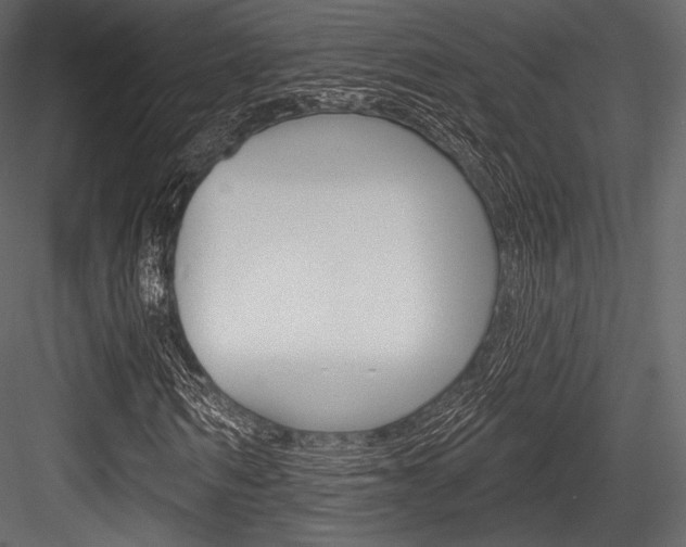 X0000084520962200702230833