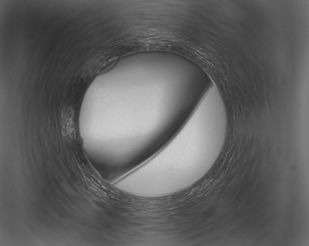 X0000084520963200702230833