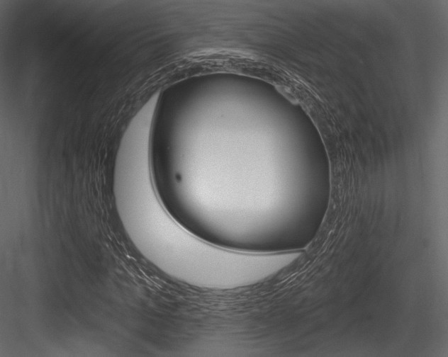 X0000084520965200702230833