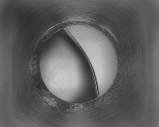 X0000084520968200702230833