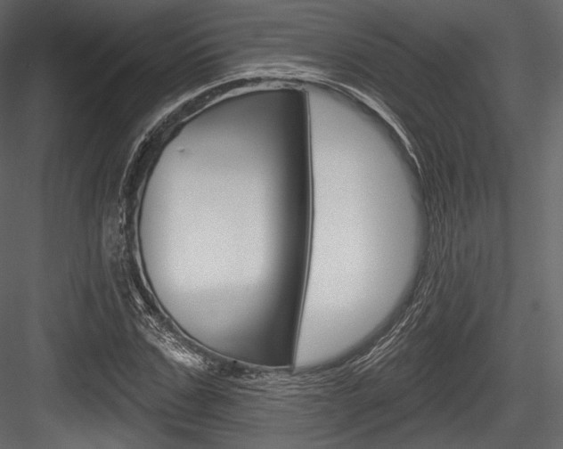 X0000084520971200702230833