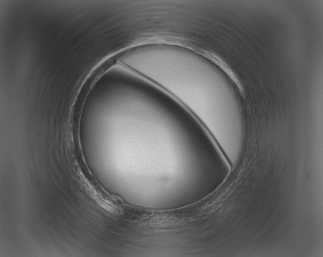 X0000084520972200702230833