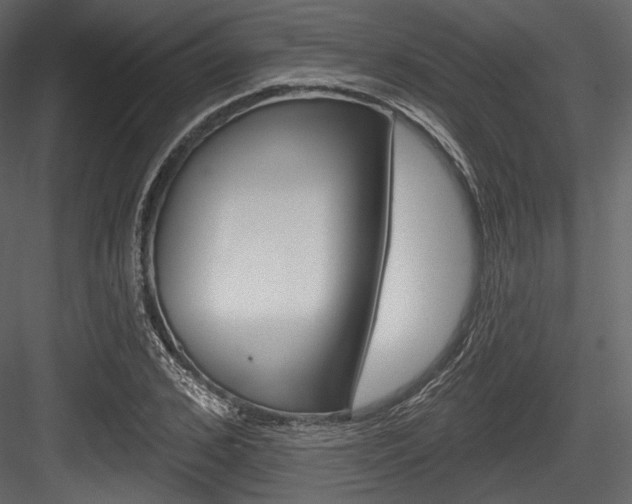 X0000084520976200702230833