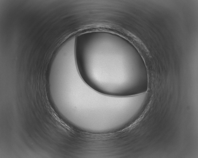X0000084520977200702230833