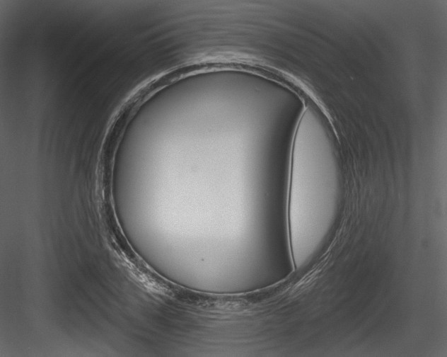 X0000084520979200702230833