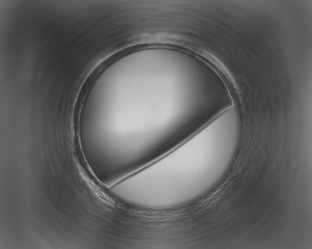X0000084520980200702230833