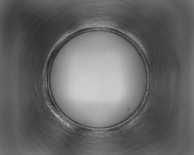X0000084520982200702230833