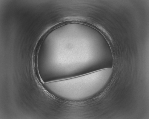 X0000084520983200702230833