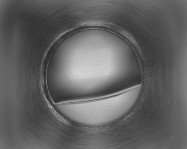 X0000084520984200702230833