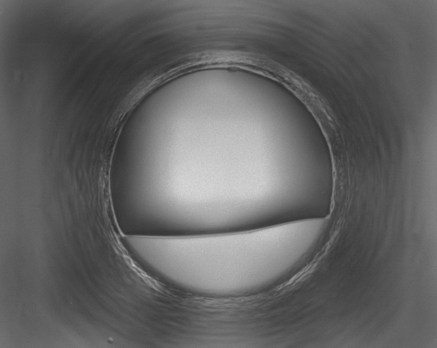 X0000084520985200702230833
