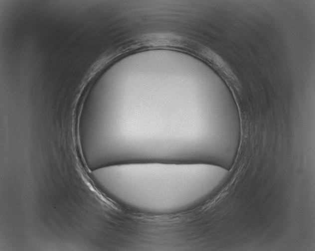 X0000084520986200702230833