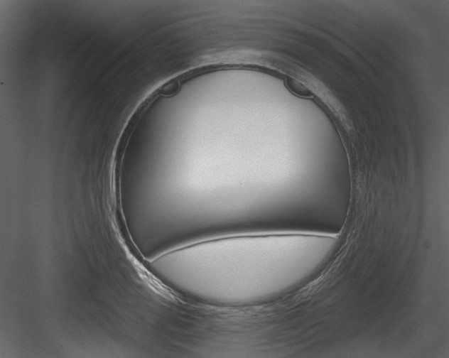 X0000084520988200702230833