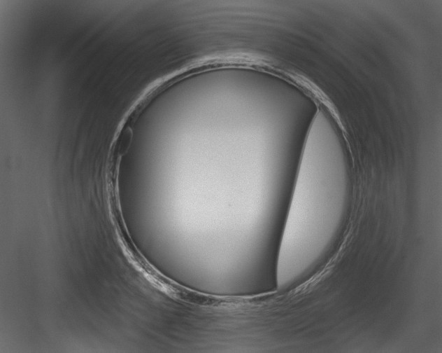 X0000084520989200702230833