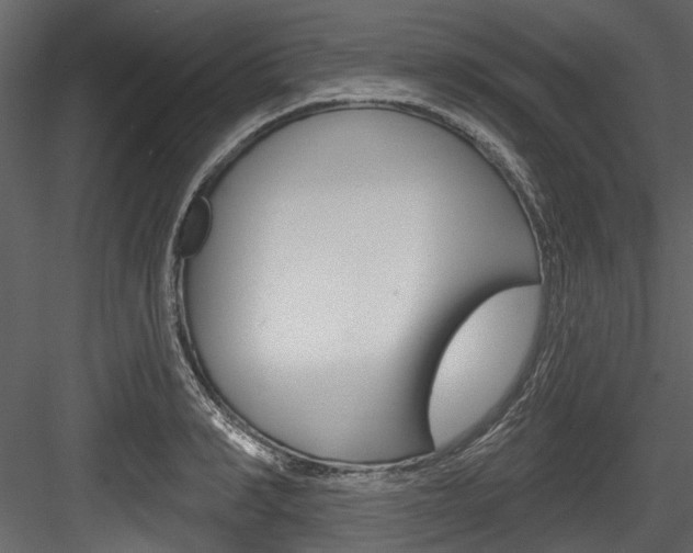X0000084520990200702230833