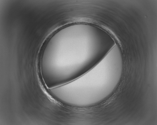 X0000084520991200702230833