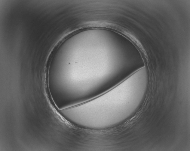 X0000084520992200702230833