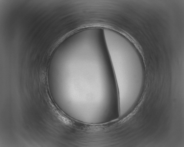 X0000084520993200702230833