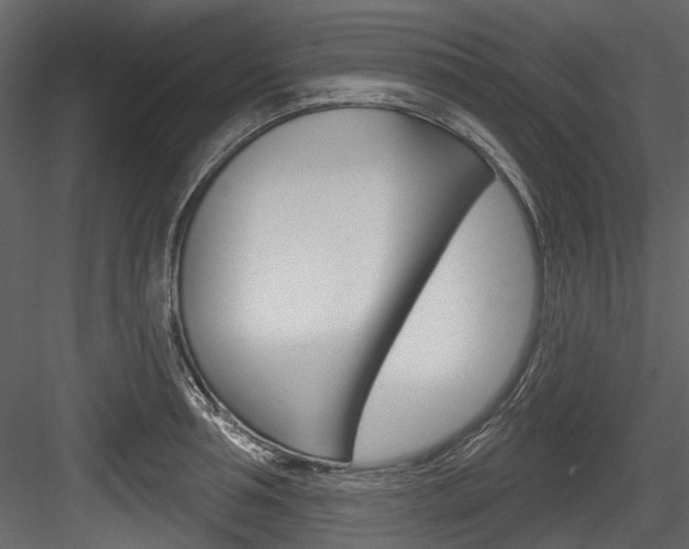 X0000084520994200702230833